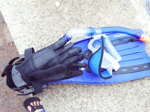 perlengkapan diving. sarung tangan, fins, masker, snorkle